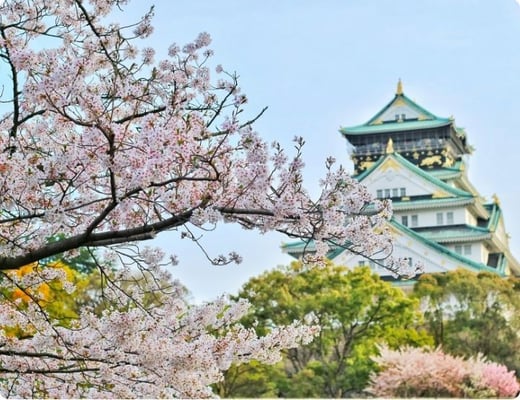 Kyoto